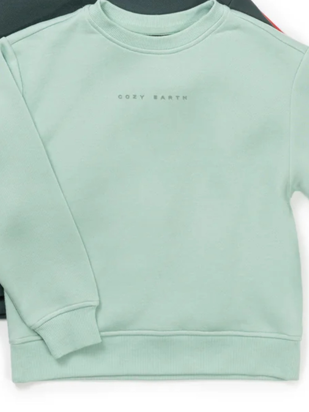 Men’s Cozy Earth Mint Green Crewneck Sweatshirt